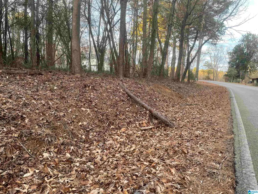 334 YORK DRIVE, Rogersville, AL 35652 - Image #3