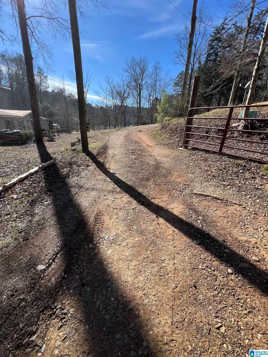 132 SLOUGHSIDE DRIVE, Adger, AL 35006 - Image #3