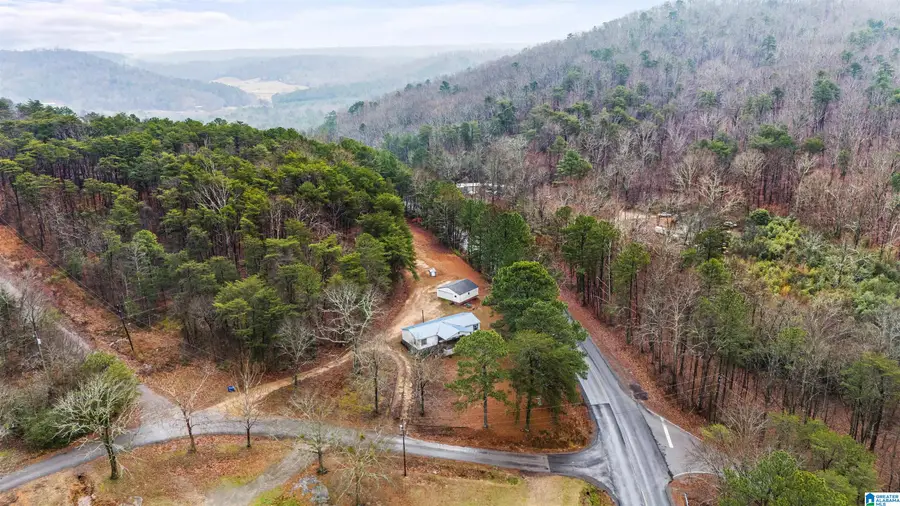 645 DAILEY CIRCLE, Oneonta, AL 35121 - Image #3