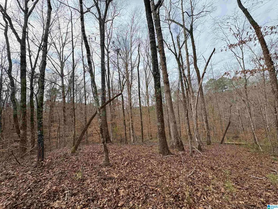0 COUNTY ROAD 55, Clanton, AL 35046 - Image #2