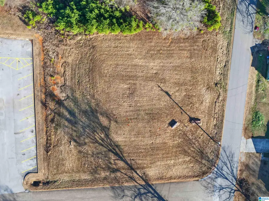 0 SWANN STREET, Piedmont, AL 36272 - Image #2