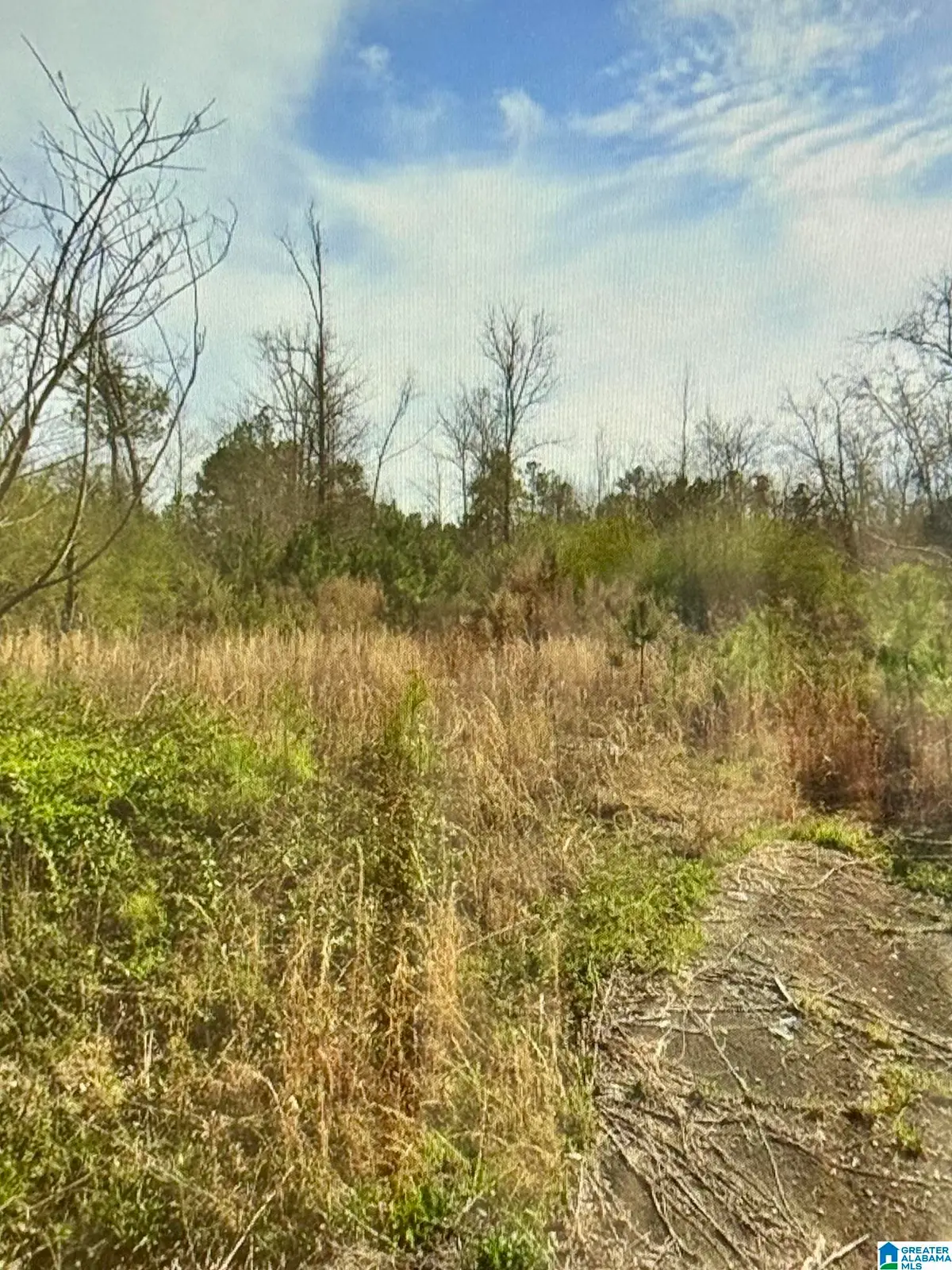 369 KELLEY DRIVE, Kimberly, AL 35091 - Image #1