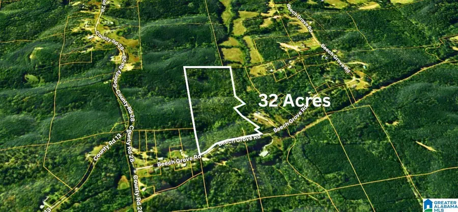 TBD1 BEECH GROVE ROAD, Haleyville, AL 35565 - Image #2