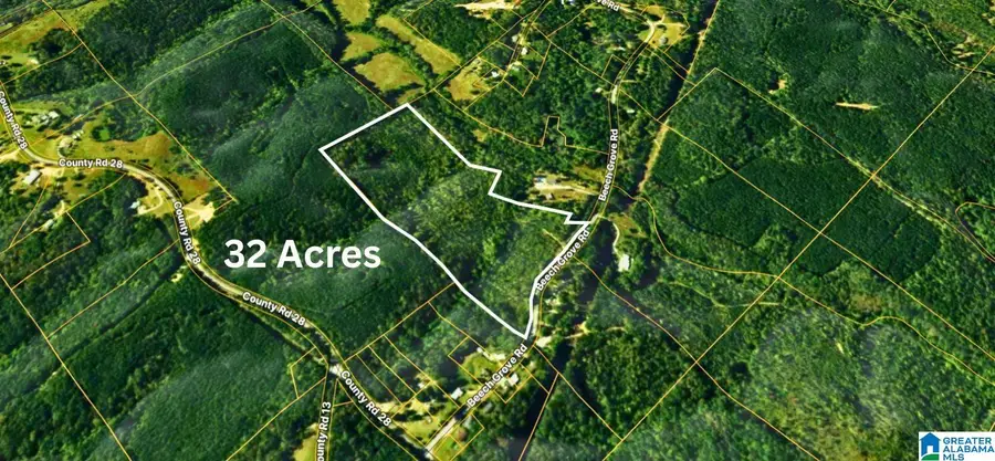 TBD1 BEECH GROVE ROAD, Haleyville, AL 35565 - Image #3