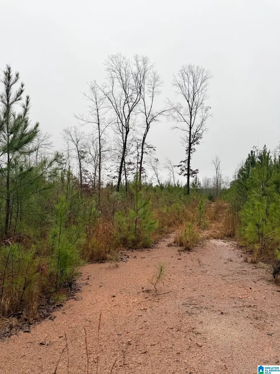 0000 COUNTY ROAD 472, Clanton, AL 35045 - Image #3