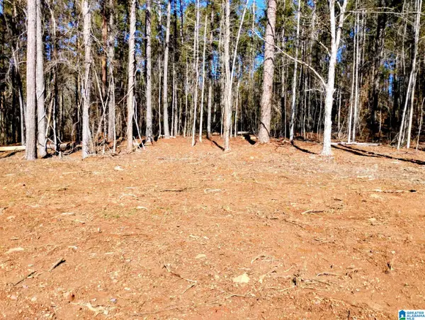 FOSTER COVE DRIVE, Lineville, AL 36266