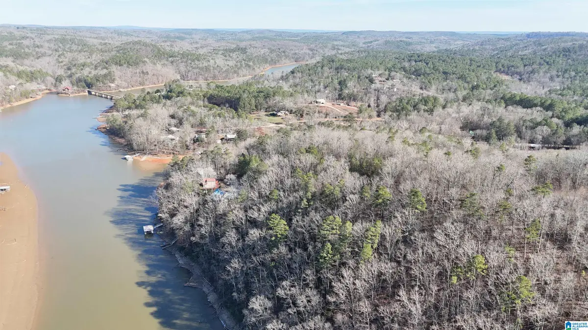 10 MONTANAS WAY, Lineville, AL 36266 - Image #1