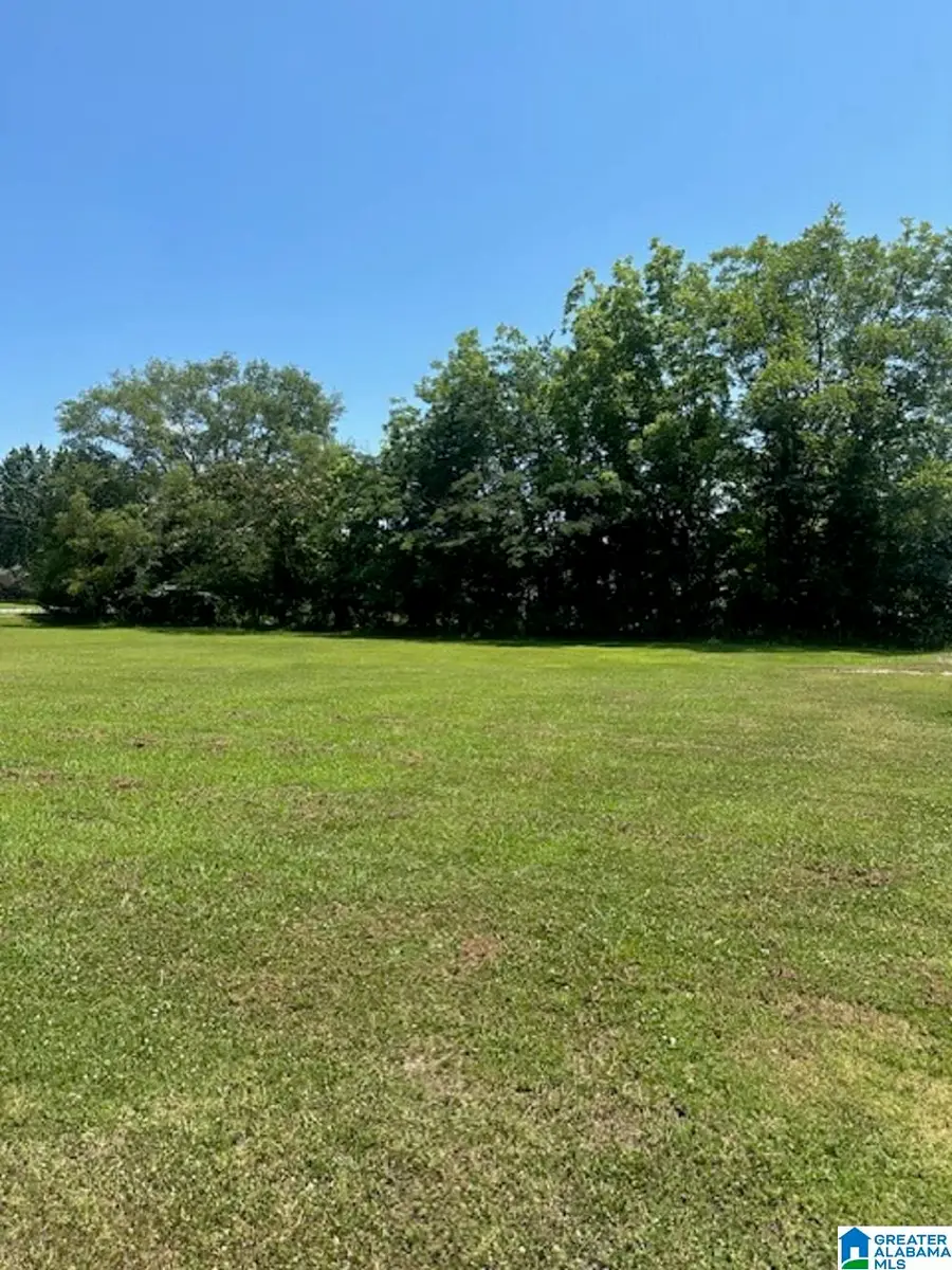 0 COUNTY ROAD 437, Cullman, AL 35057 - #2