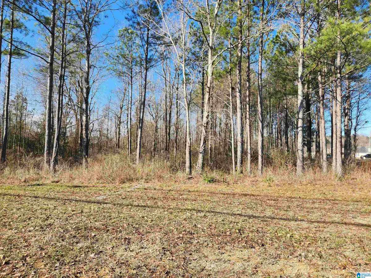 0 BONNIEVILLE DRIVE, Calera, AL 35040 - Image #1