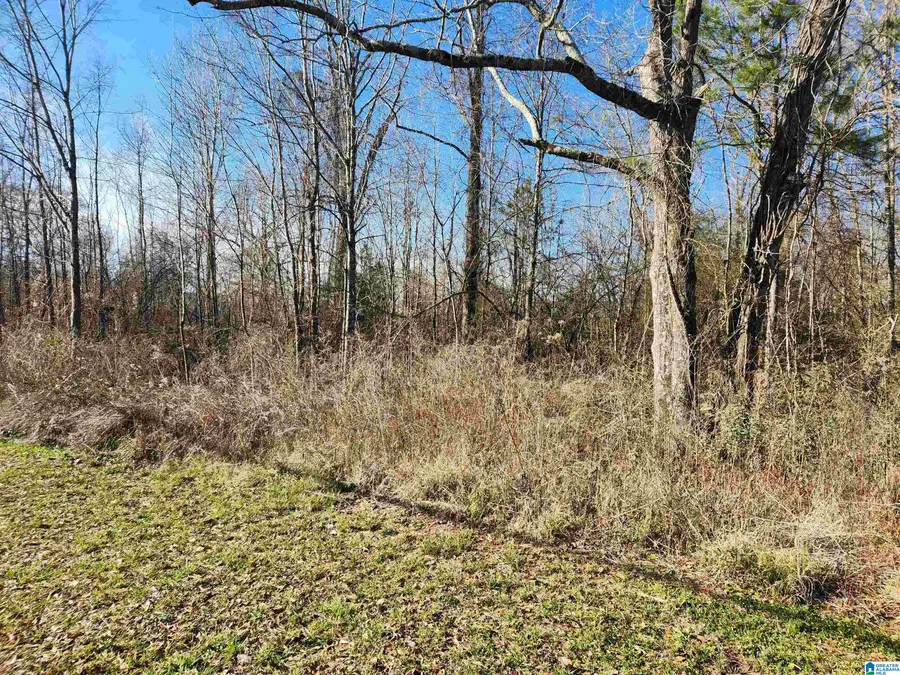 0 BONNIEVILLE DRIVE, Calera, AL 35040 - Image #3