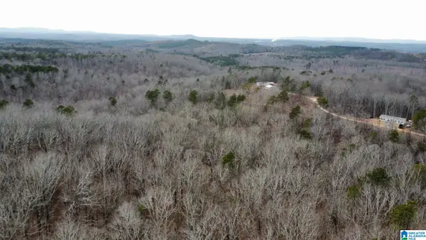 0 COUNTY ROAD 116, Heflin, AL 36264