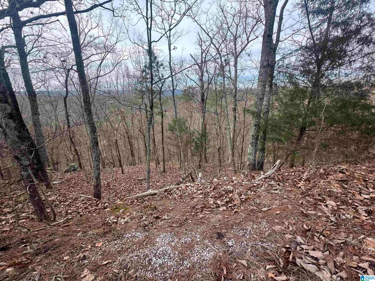 0 LONG LEAF TRAIL, Warrior, AL 35180 - Image #1