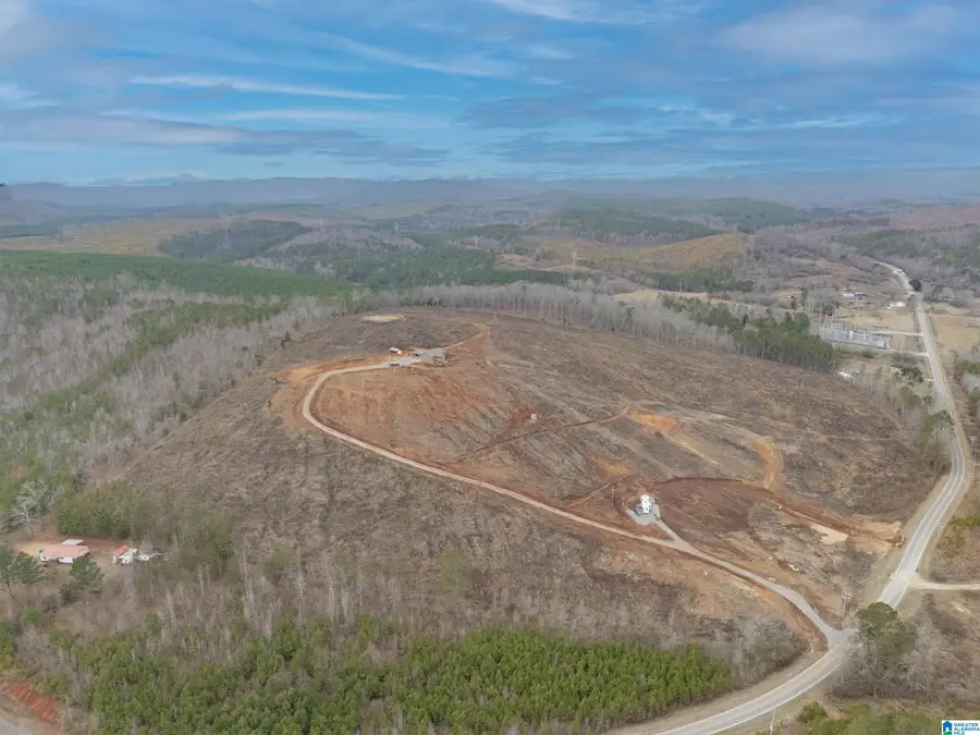 7340 COUNTY ROAD 6, Piedmont, AL 36272 - Image #2