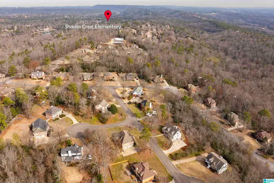 6212 SHADES POINTE LANE, Hoover, AL 35244 - #2