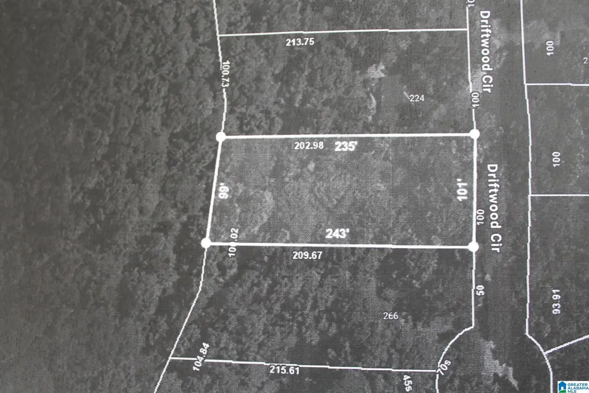 246 DRIFTWOOD CIRCLE, Pinson, AL 35126 - Image #1