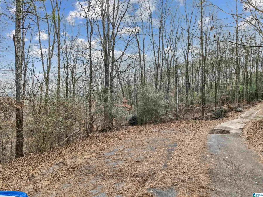 000 HILLVIEW DRIVE, Pell City, AL 35125 - Image #3