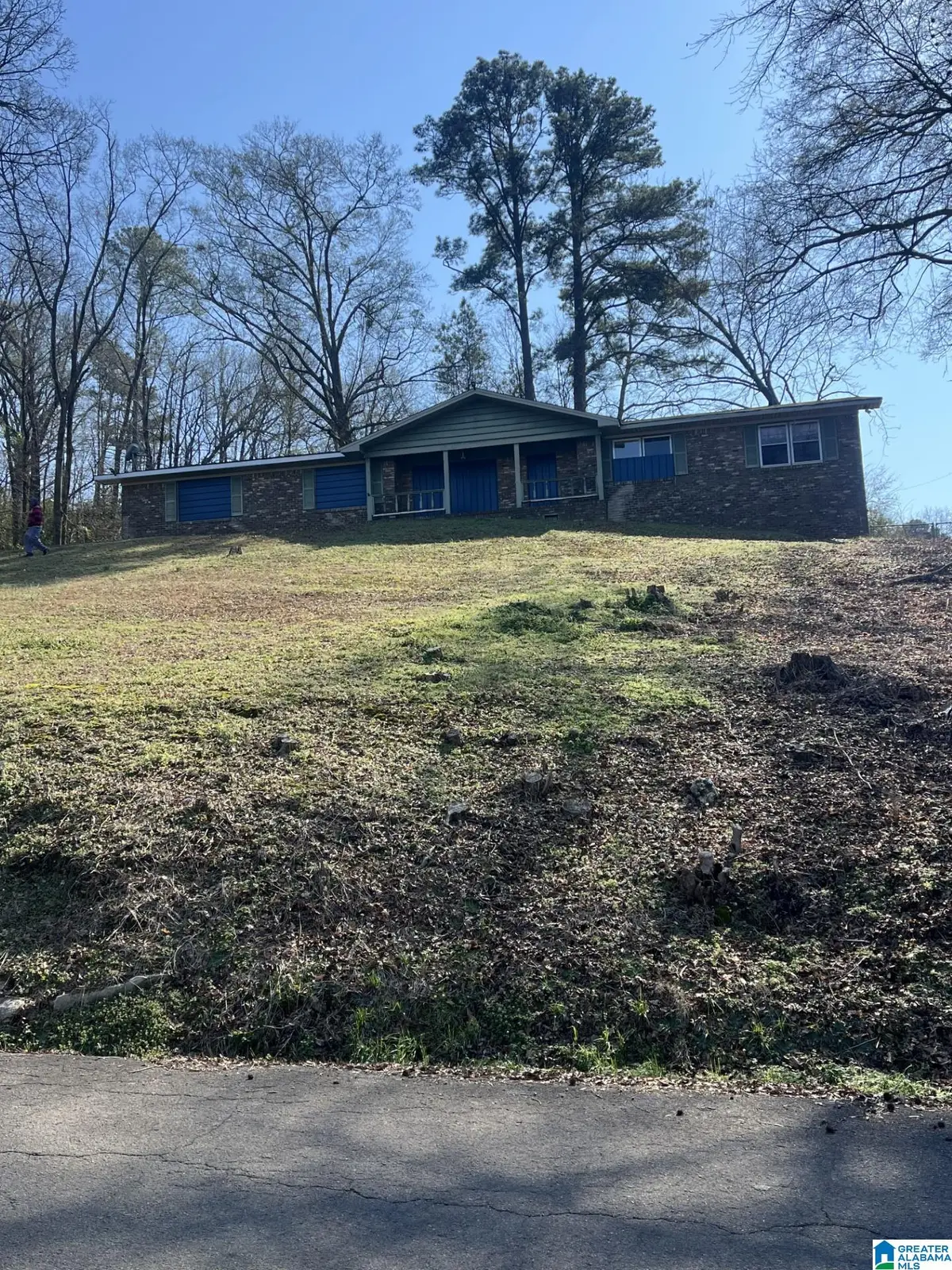 1217 CLUBHOUSE ROAD, Bessemer, AL 35020 - #1