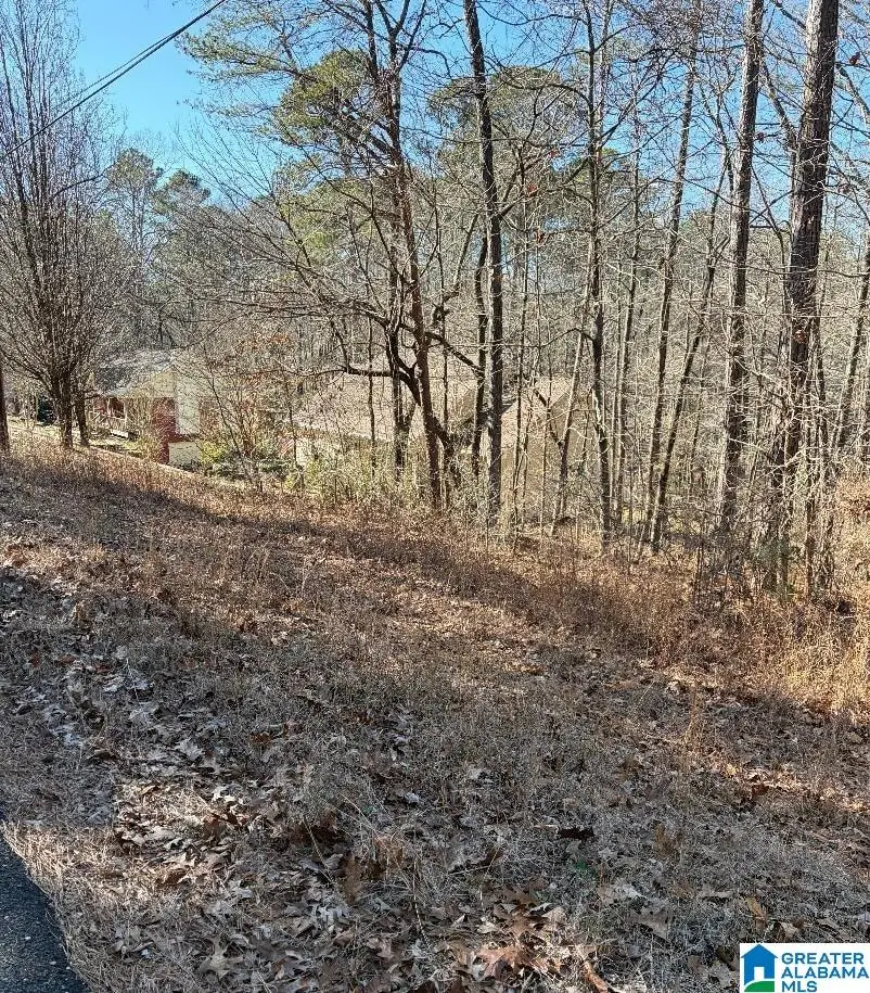 DELMAR DRIVE, McCalla, AL 35111 - #2