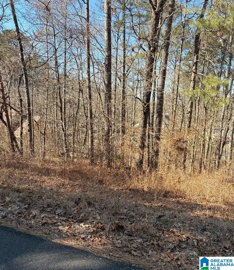 DELMAR DRIVE, McCalla, AL 35111 - #3