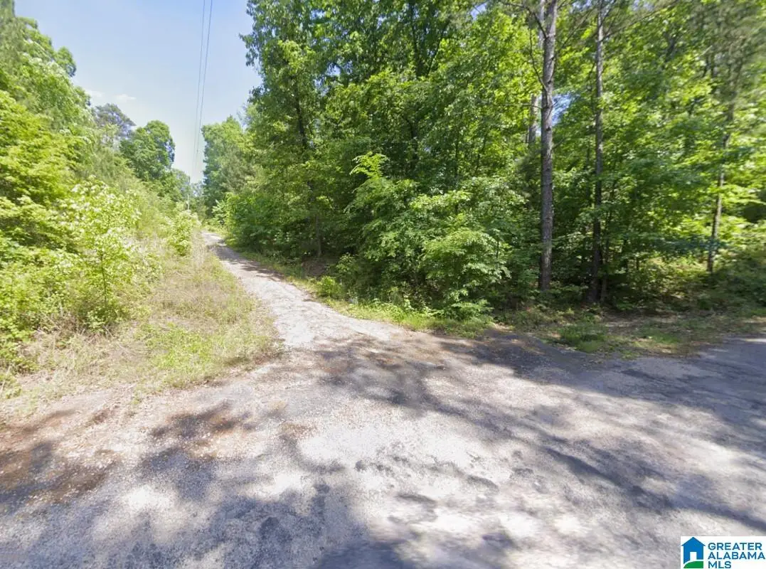 130 EVERGREEN DRIVE, Springville, AL 35146 - #1