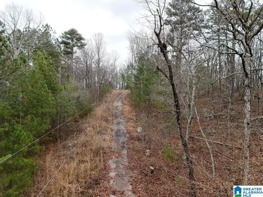 130 EVERGREEN DRIVE, Springville, AL 35146 - #2