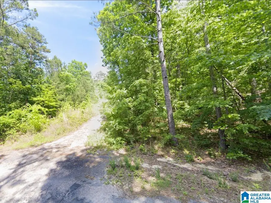 130 EVERGREEN DRIVE, Springville, AL 35146 - #3