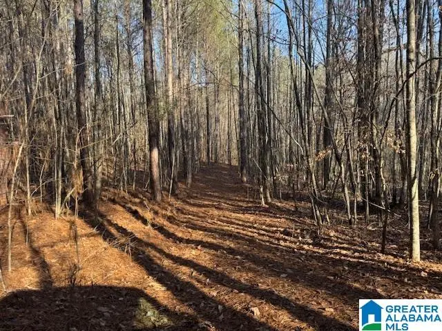 5590 COUNTY ROAD 79, Daviston, AL 36256 - #2