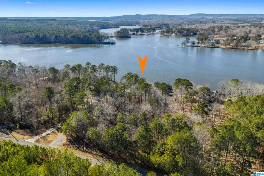 SHORE SIDE LANE, Sylacauga, AL 35151 - Image #2