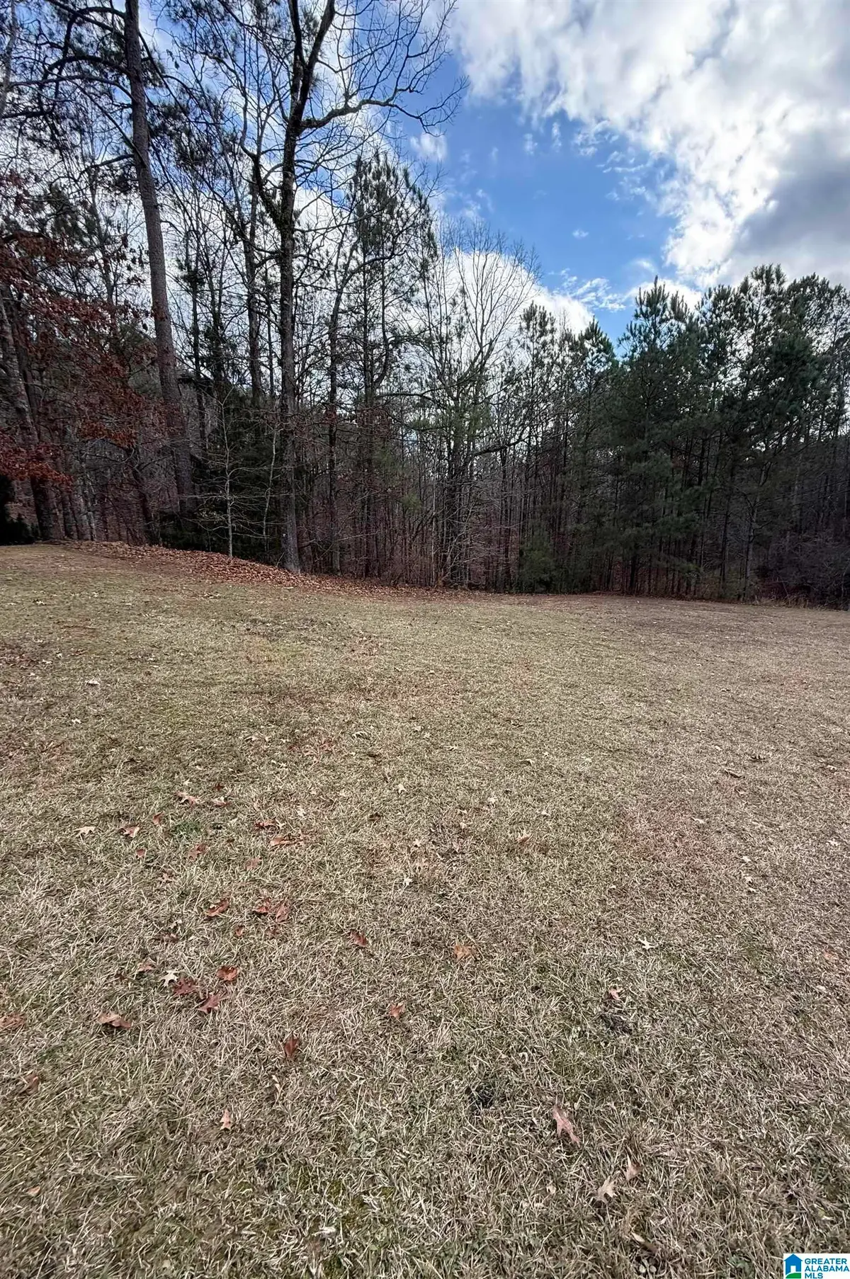 808 BALLANTRAE PARKWAY, Pelham, AL 35124 - #1