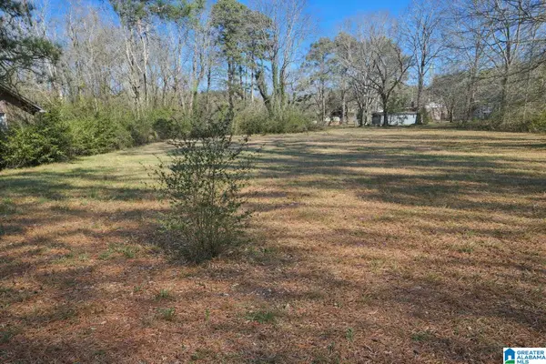 524 ROEBUCK FOREST DRIVE, Birmingham, AL 35206