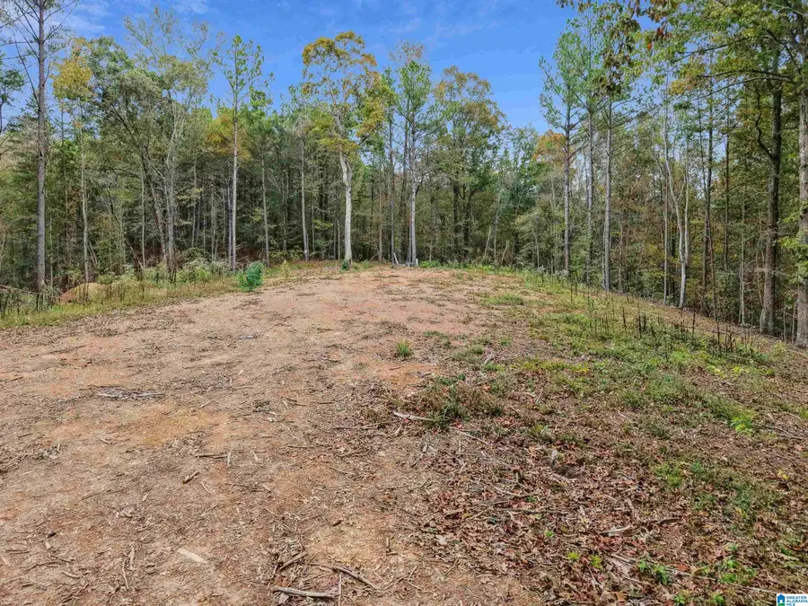 1215 BUDDY VINES CAMP ROAD, Bessemer, AL 35023 - #2