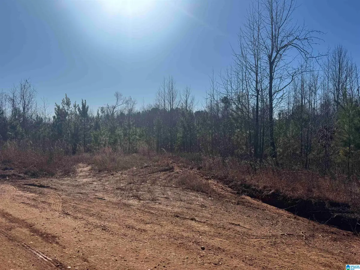 1661 COUNTY ROAD 637, Roanoke, AL 36274 - #1