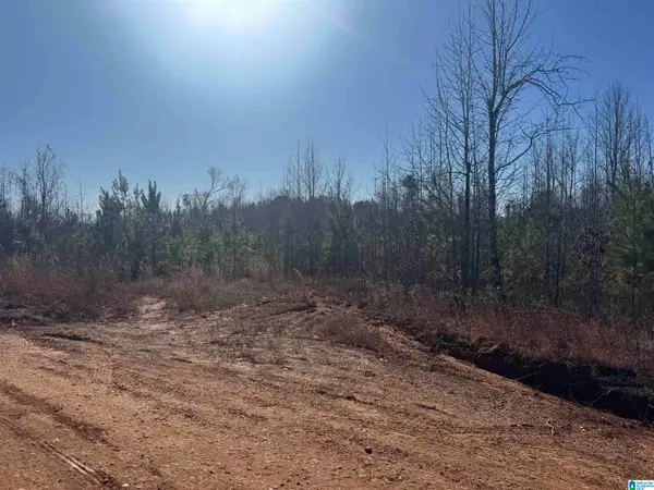 1661 COUNTY ROAD 637, Roanoke, AL 36274