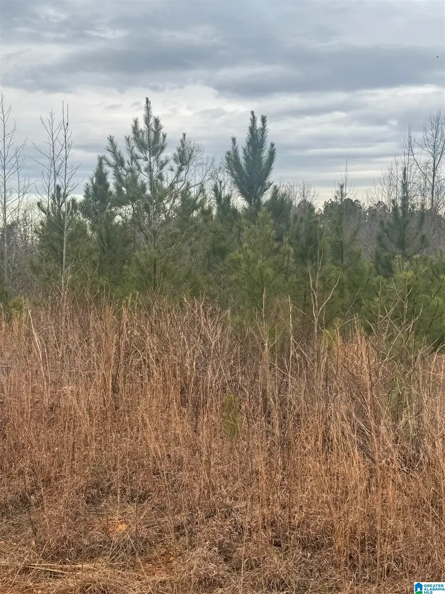 1661 COUNTY ROAD 637, Roanoke, AL 36274 - #2