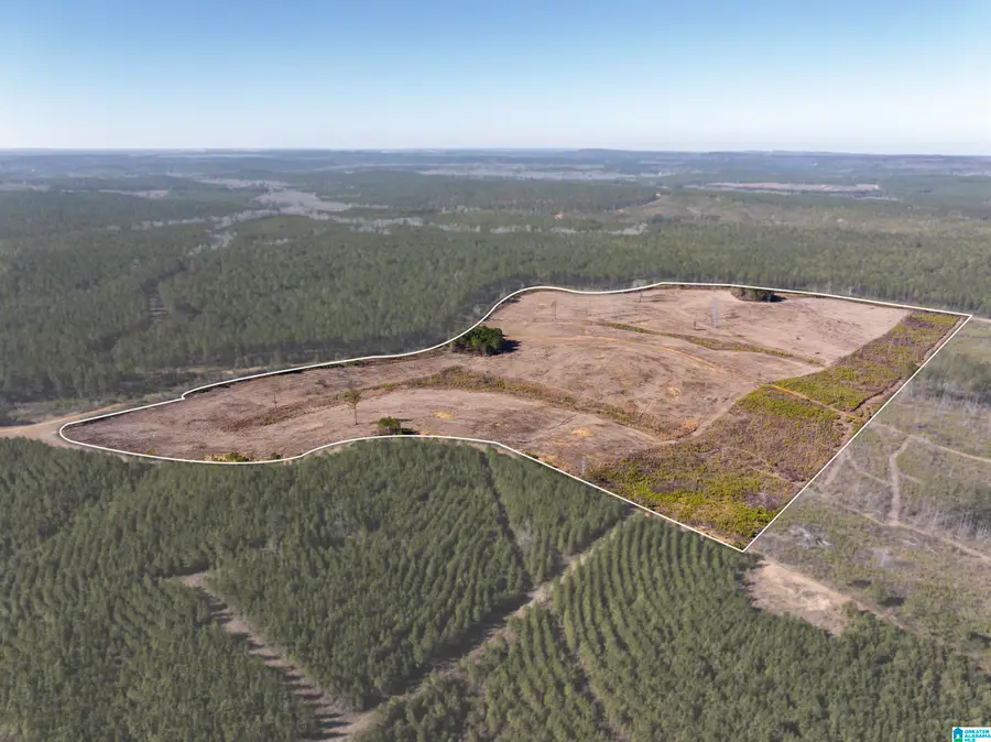 561 LAKEWOOD DRIVE, Columbiana, AL 35051 - #2