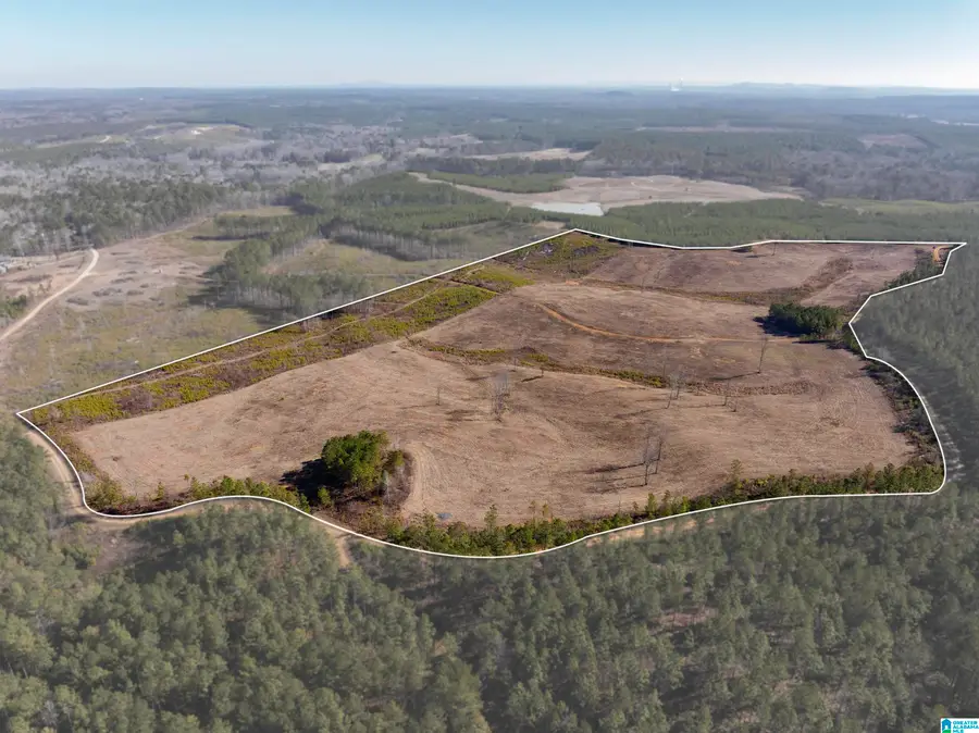 561 LAKEWOOD DRIVE, Columbiana, AL 35051 - #3