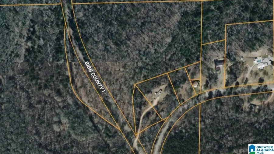 COUNTY ROAD 1, Centreville Brent, AL 35042 - #2