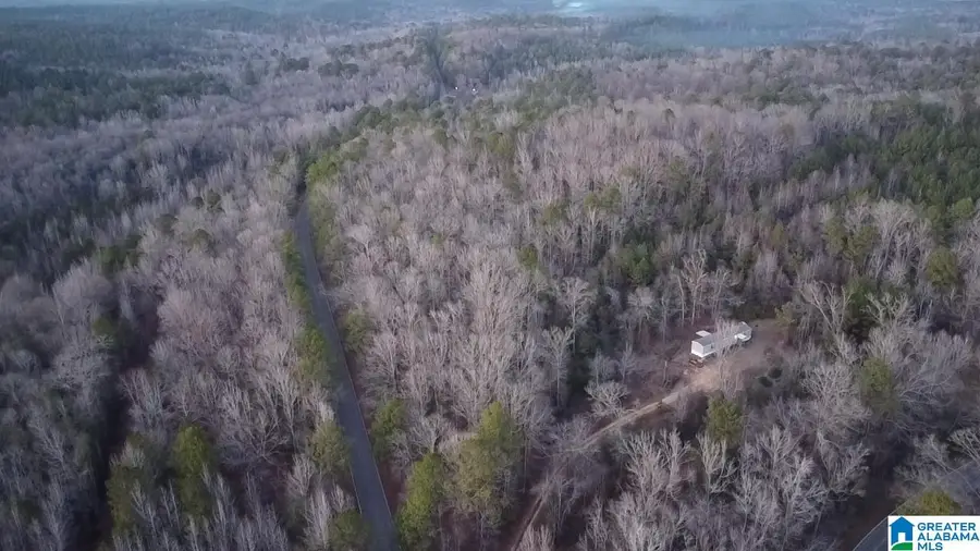 COUNTY ROAD 1, Centreville Brent, AL 35042 - #3