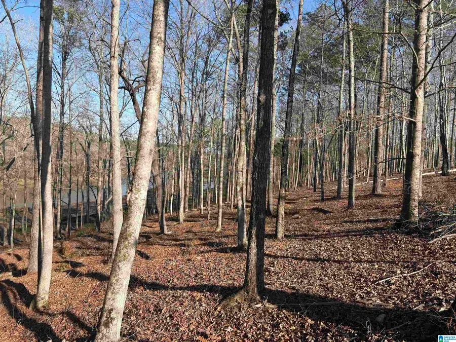 Lot 12 COUNTY ROAD 499, Woodland, AL 36280 - Image #2