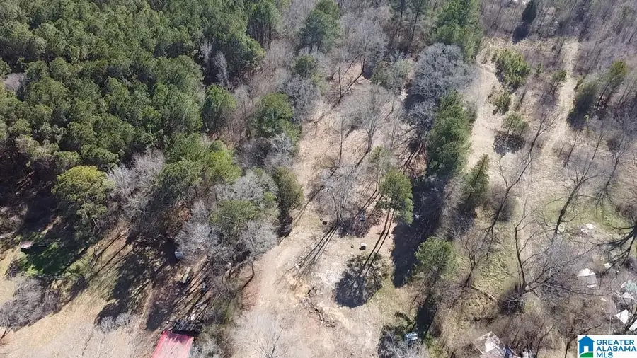 2161 ODENS MILL ROAD, Sylacauga, AL 35151 - Image #2