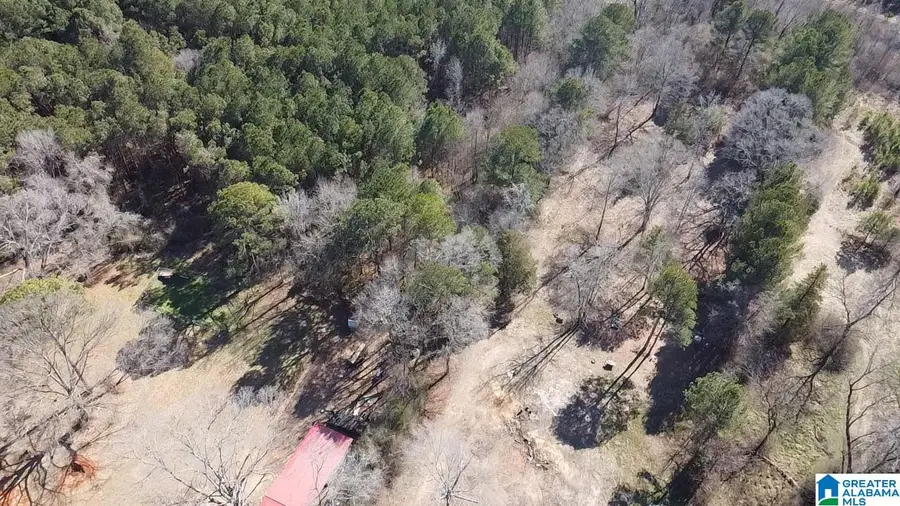 2161 ODENS MILL ROAD, Sylacauga, AL 35151 - Image #3