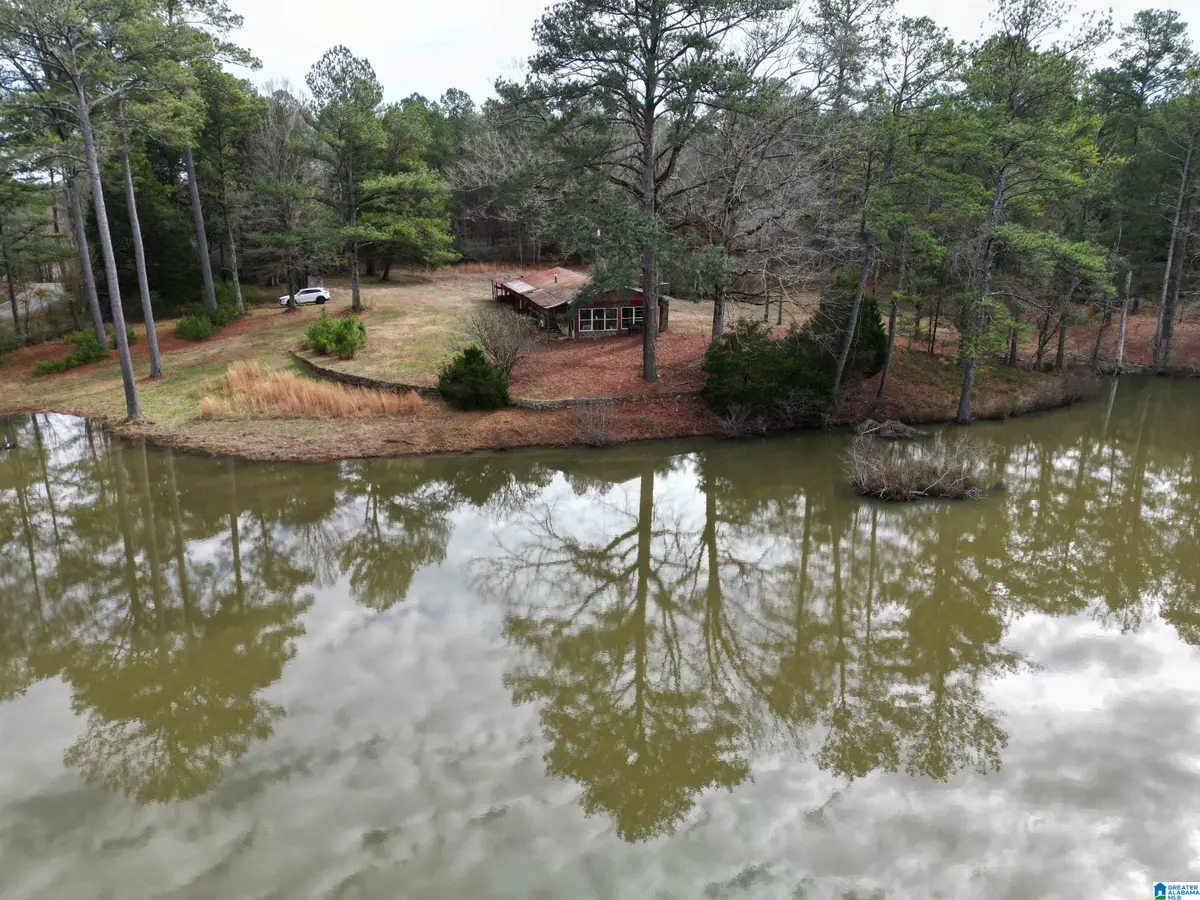 48839 S ALABAMA HIGHWAY 25, Sterrett, AL 35147 - #1