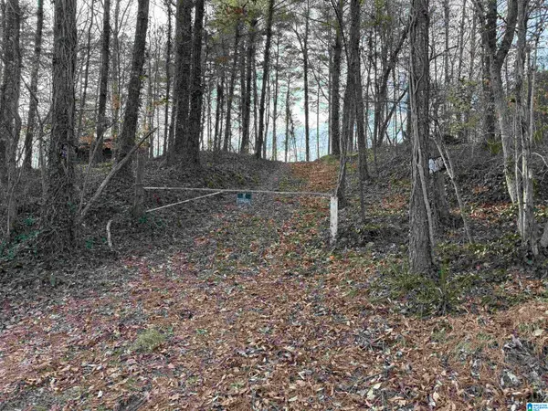 0 OLD GEORGIA ROAD, Heflin, AL 36264