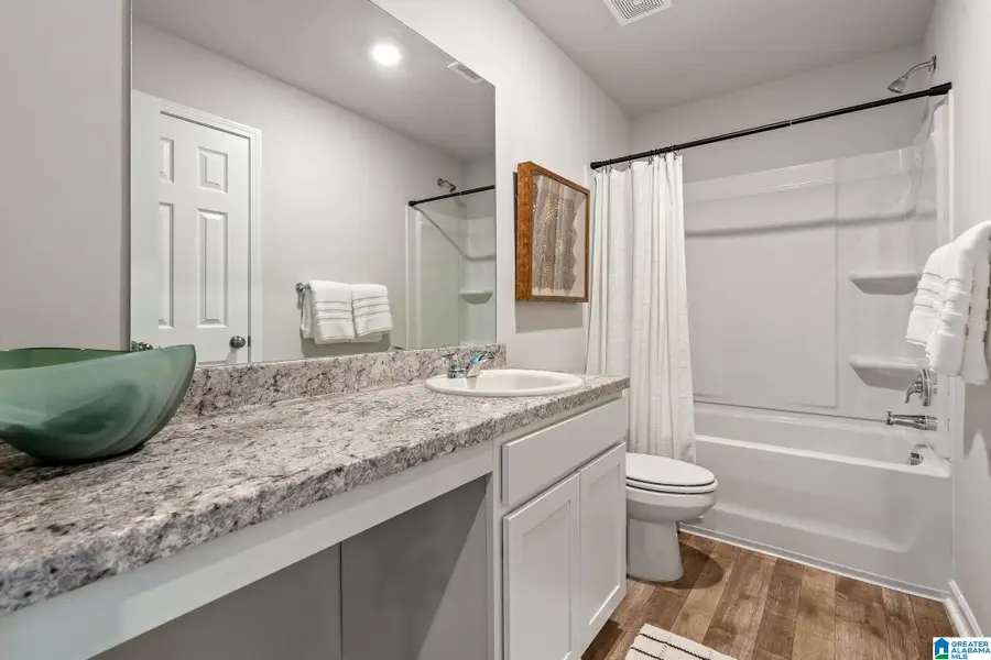 143 RIVER ROCK STREET, Lincoln, AL 35096 - Image #3