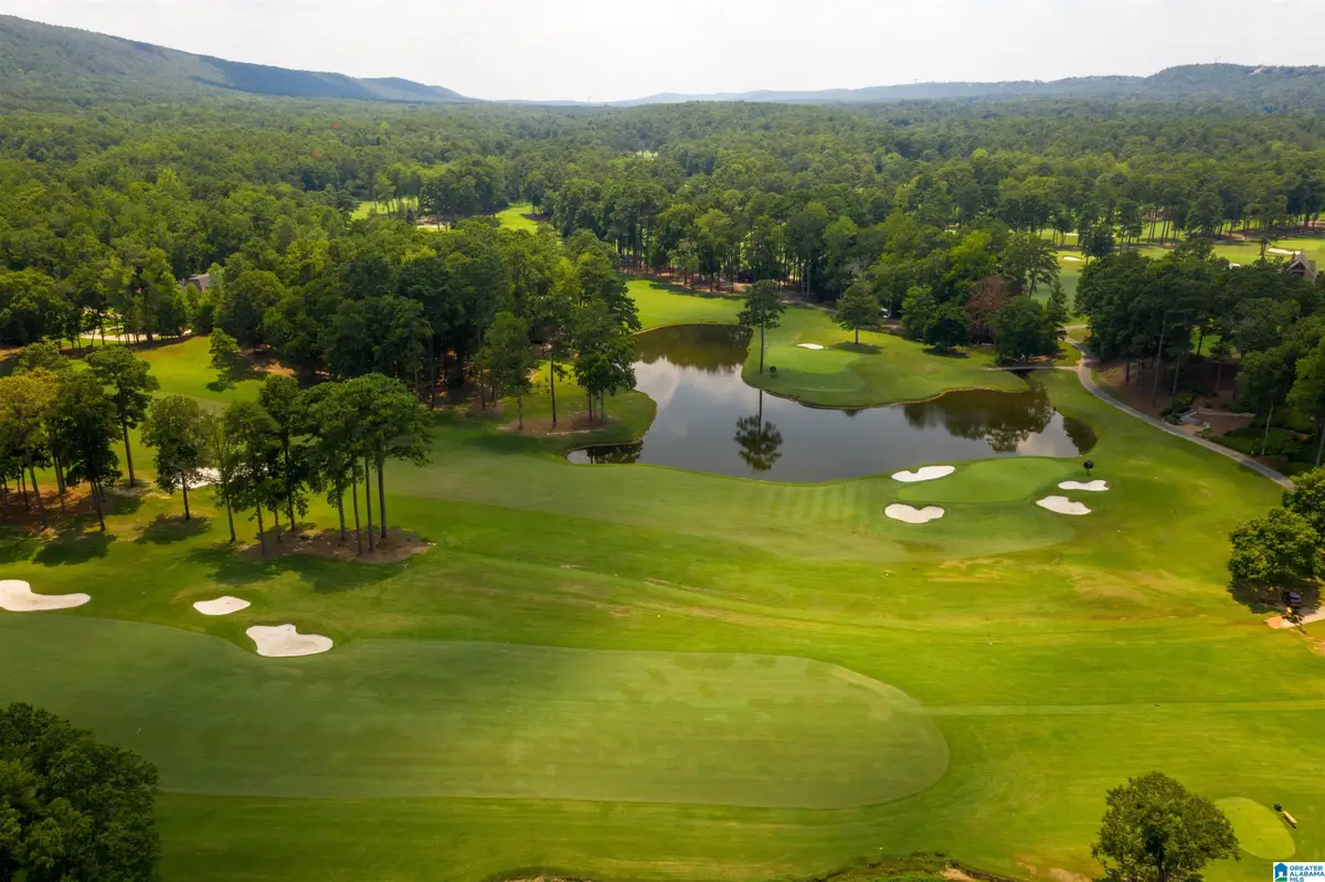 302 CARNOUSTIE, Birmingham, AL 35242 - Image #1