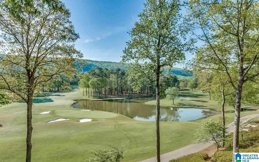 302 CARNOUSTIE, Birmingham, AL 35242 - Image #2