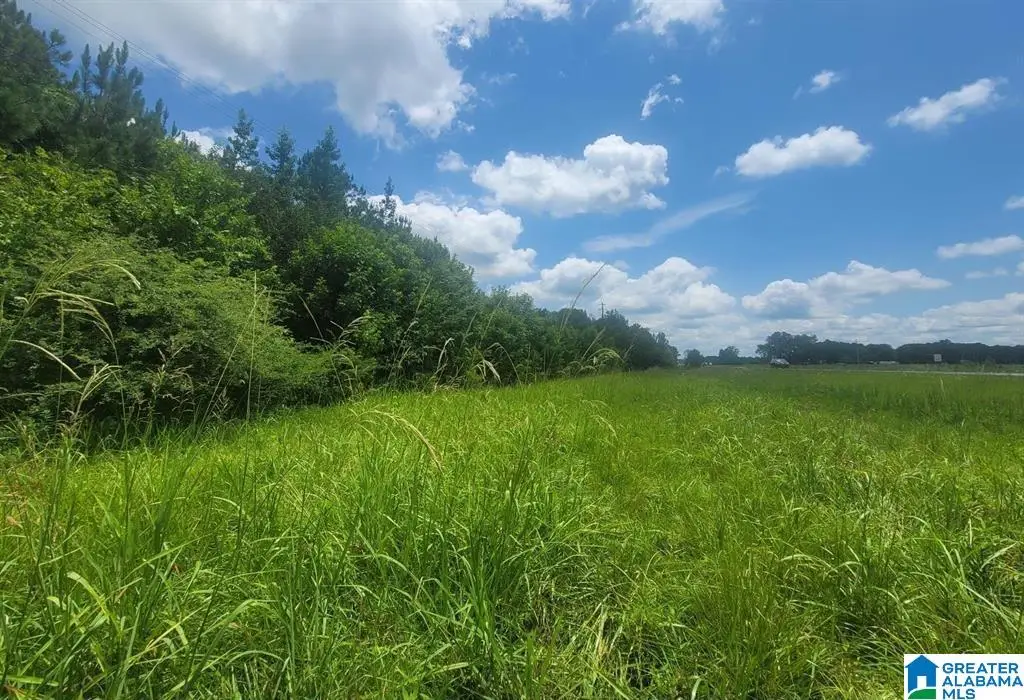 0 HIGHWAY 280, Harpersville, AL 35078 - #1