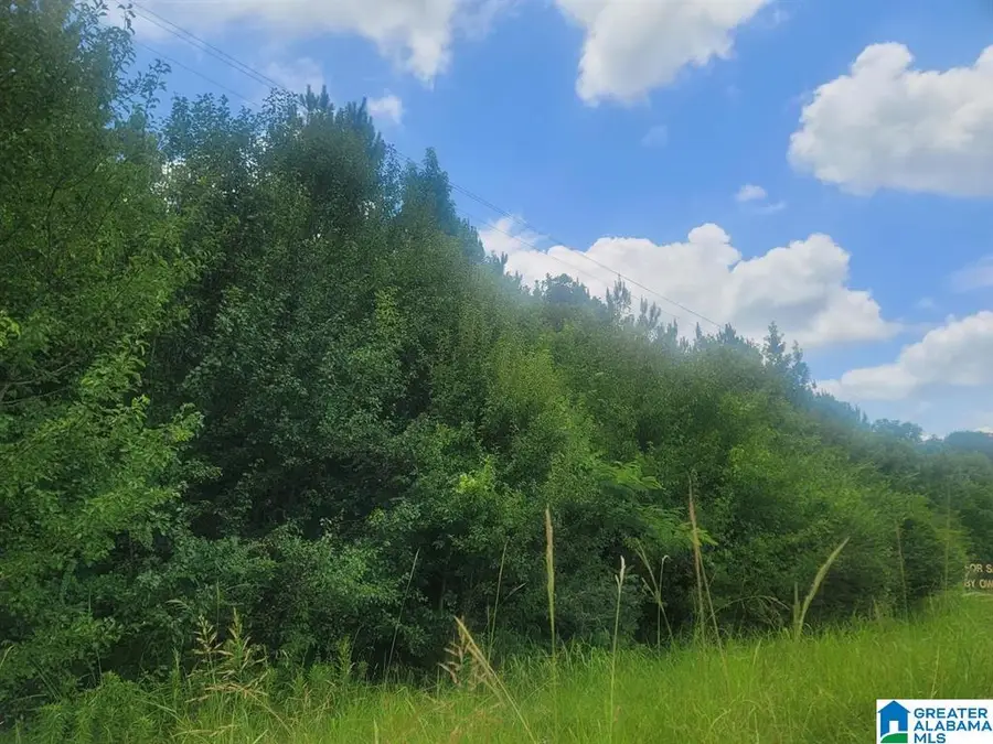0 HIGHWAY 280, Harpersville, AL 35078 - #2