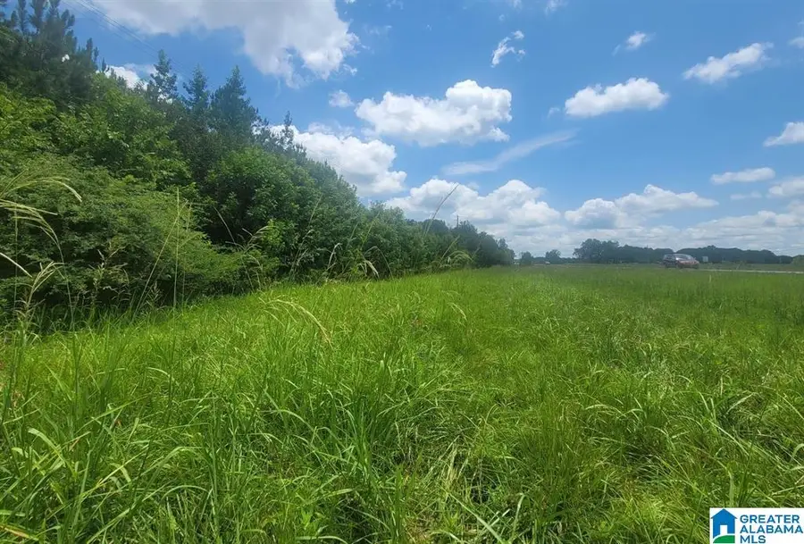 0 HIGHWAY 280, Harpersville, AL 35078 - #3