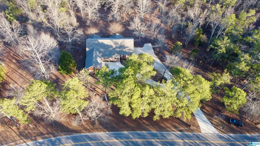 2844 HIGHWAY 331, Columbiana, AL 35051 - #3